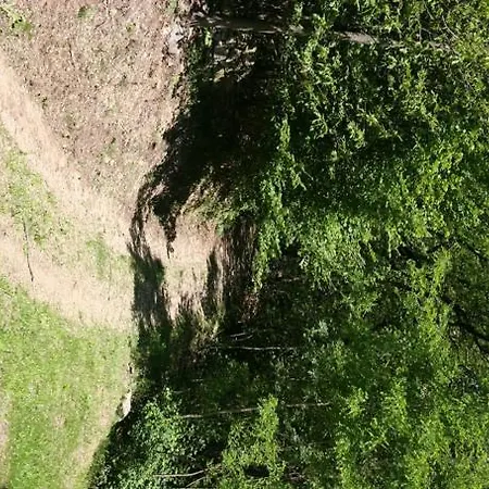 Rustica Sorico