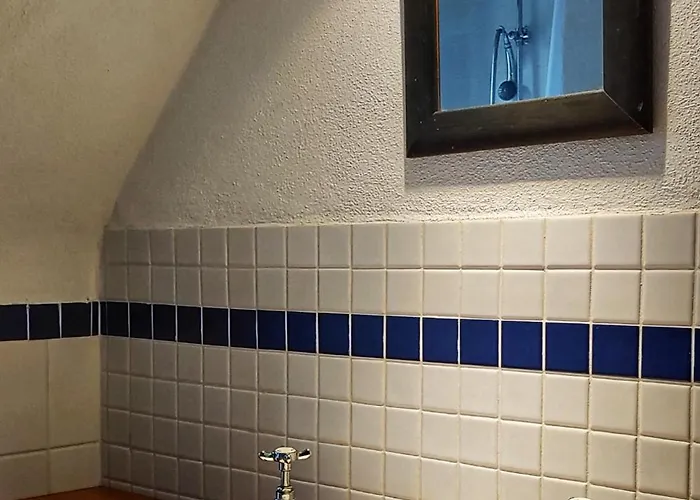 Rustica * Сорико