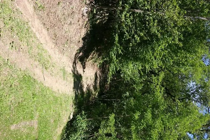 Rustica Сорико