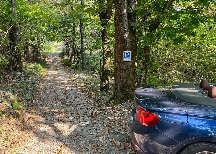 Rustica Дом отдыха